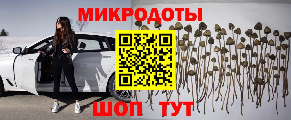 Изобильный  Псилоцибиновые грибы GOLDEN TEACHER  Галлюциногенные грибы мицелий  Вход с VPN 