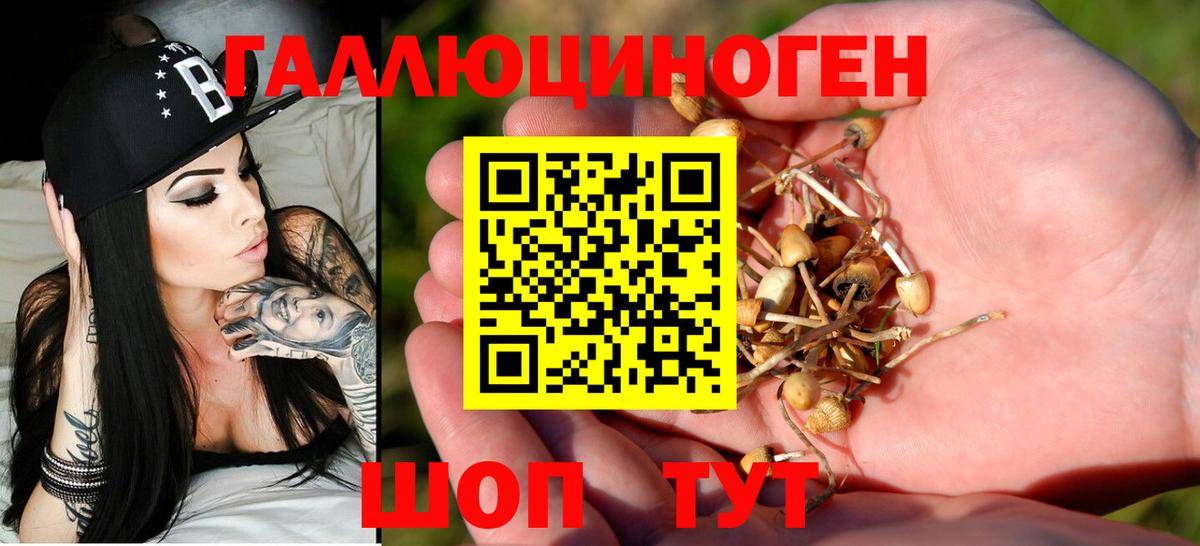 Псилоцибиновые грибы Psilocybe Изобильный